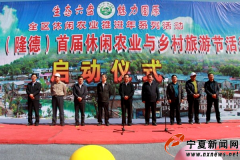 <b>宁夏固原市：首届休闲农业与乡村旅游节在隆德开幕</b>