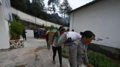 云南怒江：兰坪县发展优势产业 助脱贫显成效