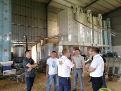 <b>浙江温州：处领导来平阳调研农业“机器换人”示范乡镇创建情况</b>