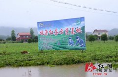 <b>湖南桃源：27个乡镇不同程度受灾 受灾人数达8.6万人</b>