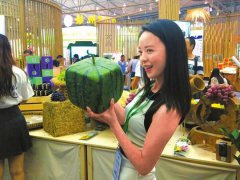 <b>四川：“享受“未来餐厅”60万人次围观成都农博会直播”</b>