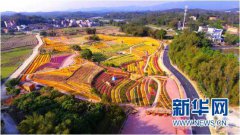 广州：打造美丽乡村“升级版” 新增命名71条美丽乡村