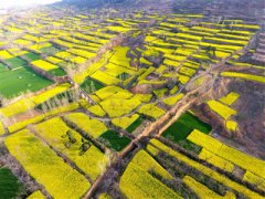河南：许昌市各地积极推进美丽乡村建设