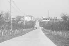 安徽五河：走在美丽乡村建设的路上