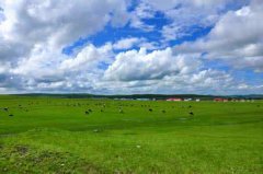 内蒙古政协专题协商“推动农村牧区宗教事务管理工作”