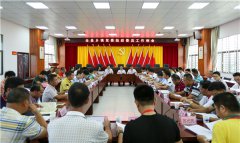 海南：陵水召开全县乡镇党委组织委员工作例会