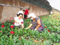 大学老师培养农村技术带头人