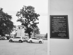 <b>湖南：石市鹿泉区 创建五星乡村发展特色旅游</b>