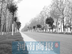 河南：农村路修成什么样  才能成为“全国示范”