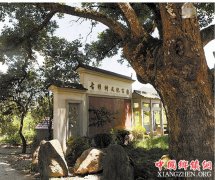 <b>浙江：巍山古渊头 打造教育小村 走向乡村旅游</b>