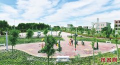 <b>广东：茂南以“三片两线”为“主阵地”推进新农村建设</b>