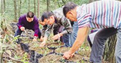 广东庆元：坚持培育技能型干部、建设技能型乡镇政府