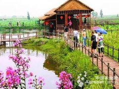 浙江：金华乡村游+农业创收获双赢