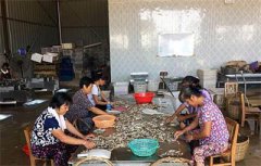 <b>江西：90后小伙创办水产养殖合作社 带领乡亲致富</b>