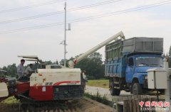 <b>四川：“粮改饲”青贮玉米示范区 大业主引领示范 种养业比翼齐飞</b>