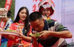 湖北：建始 脱贫葡萄托起农民致富路 引来四方来客