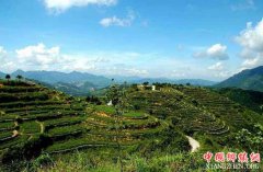 <b>四川：屏山县坡地改梯田 做好“三本账”</b>