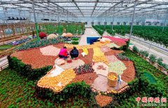 <b>四川：泸州江阳区 蔬菜品出“新滋味”</b>