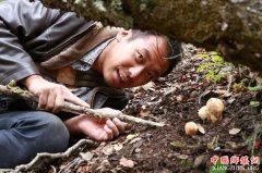 <b>四川：独创电商扶贫新路子 农村电商综合水平居全国第四</b>