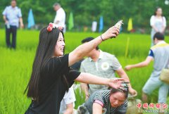 <b>四川：谋变鱼米之乡 3年将新增100万亩稻渔综合种养</b>