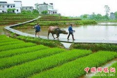 <b>我国轮作休耕面积达1200万亩 192个县市参与试点</b>