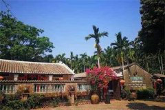 <b>海南：“共享农庄”逐步发展 促农户脱贫致富</b>