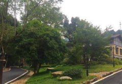 浙江：开化绿色金融引领生态脱贫 从卖木头到“卖空气”