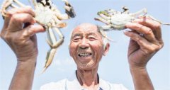 江苏：苏州市祖孙三代扎根阳澄湖养螃蟹 年入百万带领众多农民共富