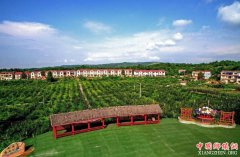 <b>中央财政3年安排52亿元支持农村产业融合发展</b>