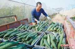 <b>农业部围绕农业供给侧结构性改革部署秋冬种工作</b>