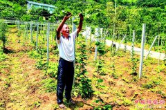 四川：青川县山水画廊 美丽关庄