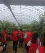 <b>河南：郑州“开心农场”助力千人脱贫 帮助农民实现致富梦</b>