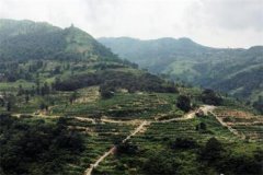 贵州：深山秋收忙 农民脱贫有了希望