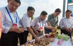 <b>山西：林业扶贫模式成中国样本 走出特色生态共赢之路</b>