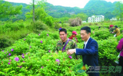 <b>安徽：休宁县返乡创业辟新径 荒地开出“致富花”</b>