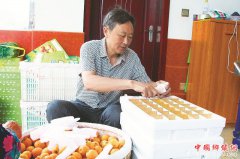 <b>四川：仁寿借力互联网 树品牌搞加工 一颗枇杷的产业之旅</b>