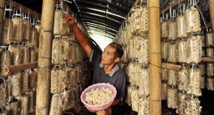 <b>产业精准扶贫：凝聚中国智慧的减贫实践</b>