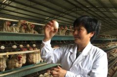 <b>贵州省：盘州市“农民的带头人”余留芬：把贫困村带成“小康村”</b>