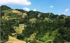 <b>贵州省：贞丰县脱贫连环计 推动山地立体生态农业 产出效益倍增</b>