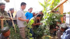 <b>五年来北京投入近190亿元 支援西藏、新疆等多地</b>