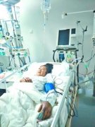 <b>湖北：黄冈市农妇遭马蜂蜇53下生命垂危 秋季马蜂活跃需当心</b>