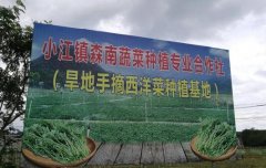 <b>广东：助粤北贫困山区发展供港蔬菜种植 推动当地脱贫</b>