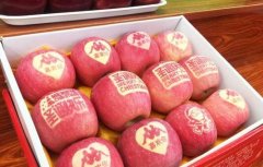 <b>甘肃：黄土高原迎来“苹果季” 主政官员为苹果“代言”</b>