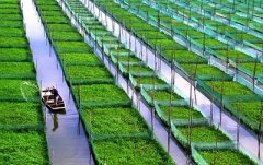 <b>湖南：打造现代农业典范 释放农村发展活力</b>