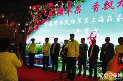 <b>陕西：宝鸡市凤翔小苹果舞动产业大龙头</b>