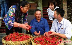 <b>福建省：宁德市巩固帮扶谋精准</b>