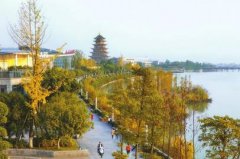 <b>生态环境改善 湿地初冬景色美</b>