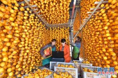 <b>山东沂源：果农网销果品增效益</b>