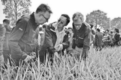 <b>湖北：再生稻如何绿色“再生”</b>