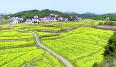 <b>湖南乡村振兴探索：娄星区万乐村“美丽事业”引巨变</b>